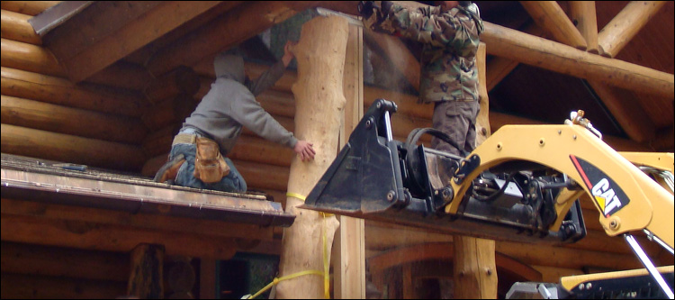 Log Home Log Replacement  Fulton County, Ohio